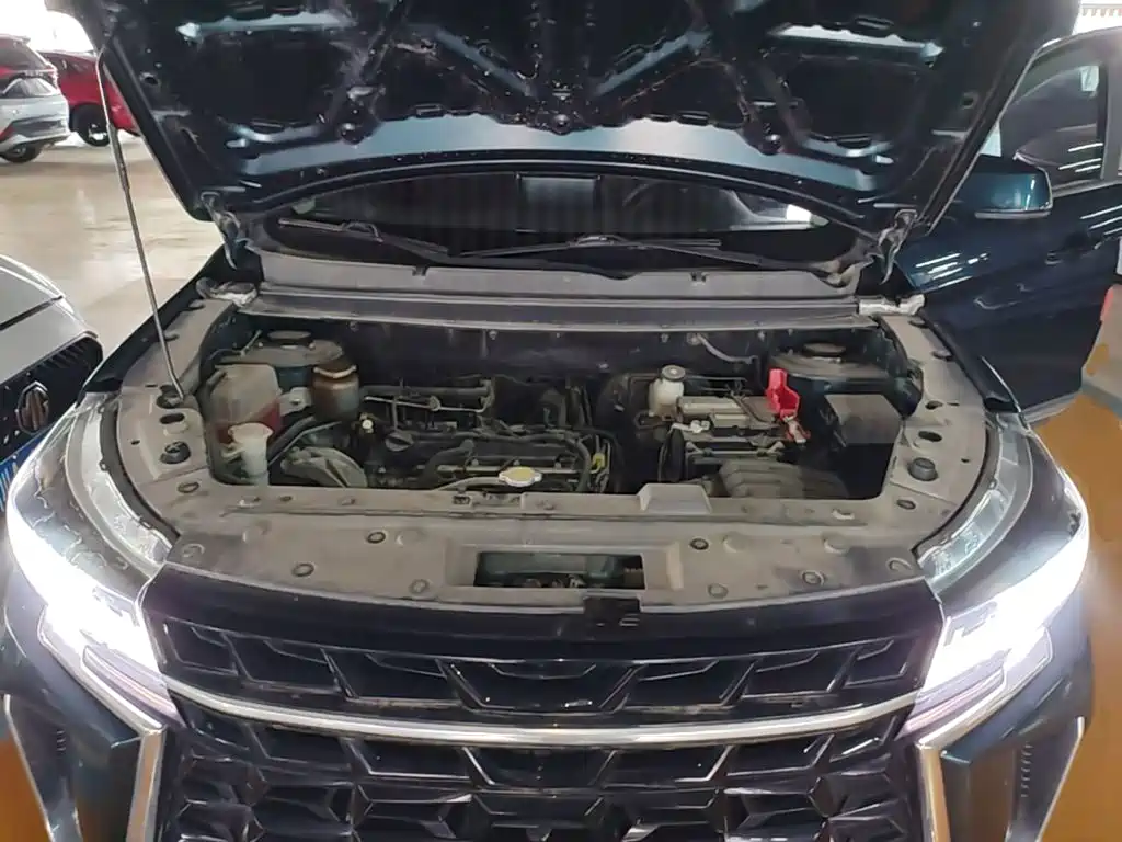 Dongfeng Fengxing Fengxing T5 2023 2023 Golden Age 1.6L Manual Dream Chaser 5-Seater
