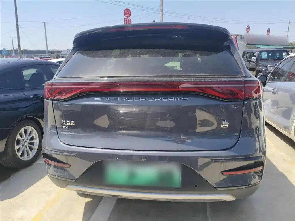 BYD Tang New Energy 2024 EV Champion Edition 730KM Premium фото 4