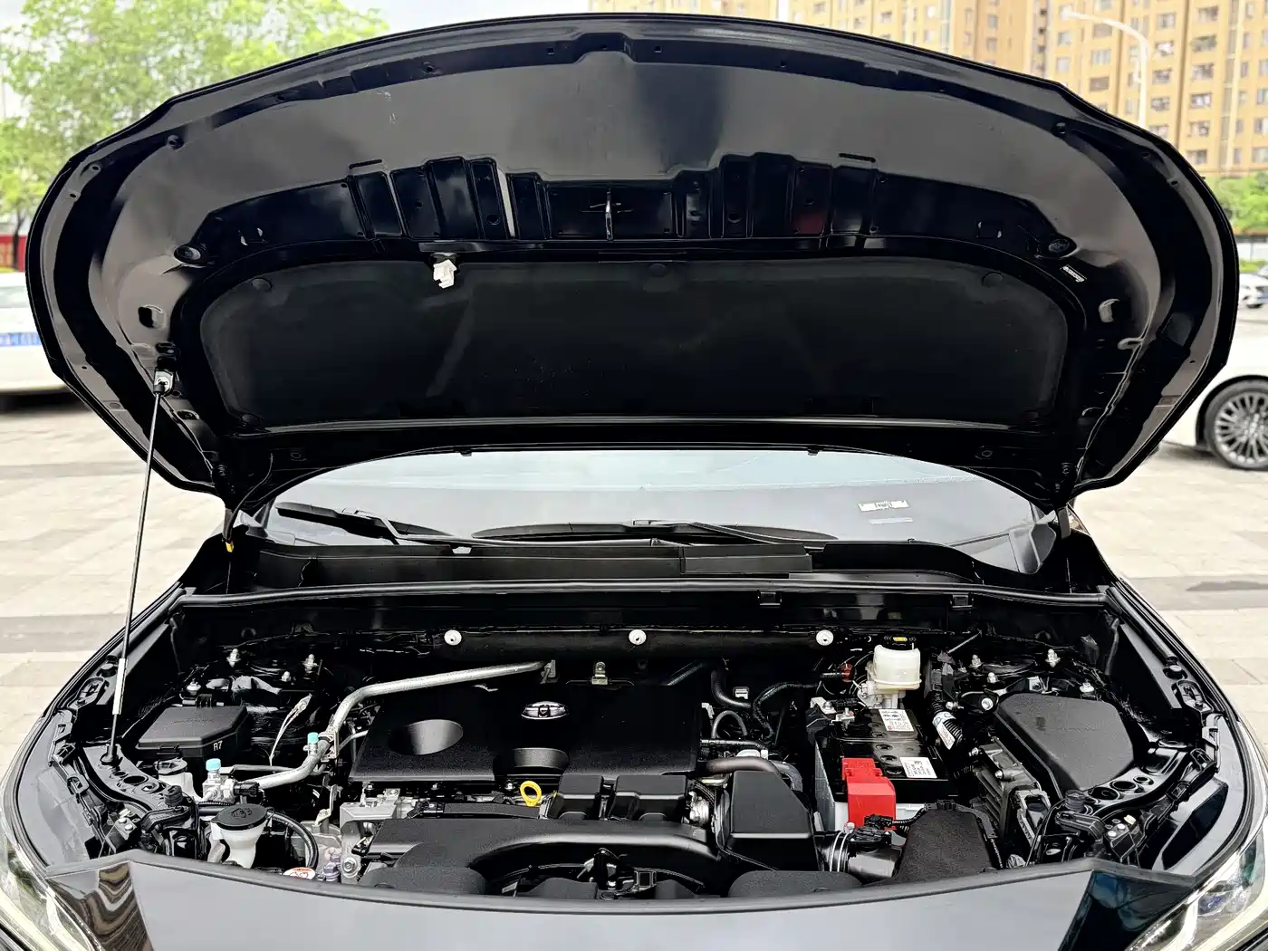 Toyota Venza 2023 2.0L CVT FWD Premium фото 21
