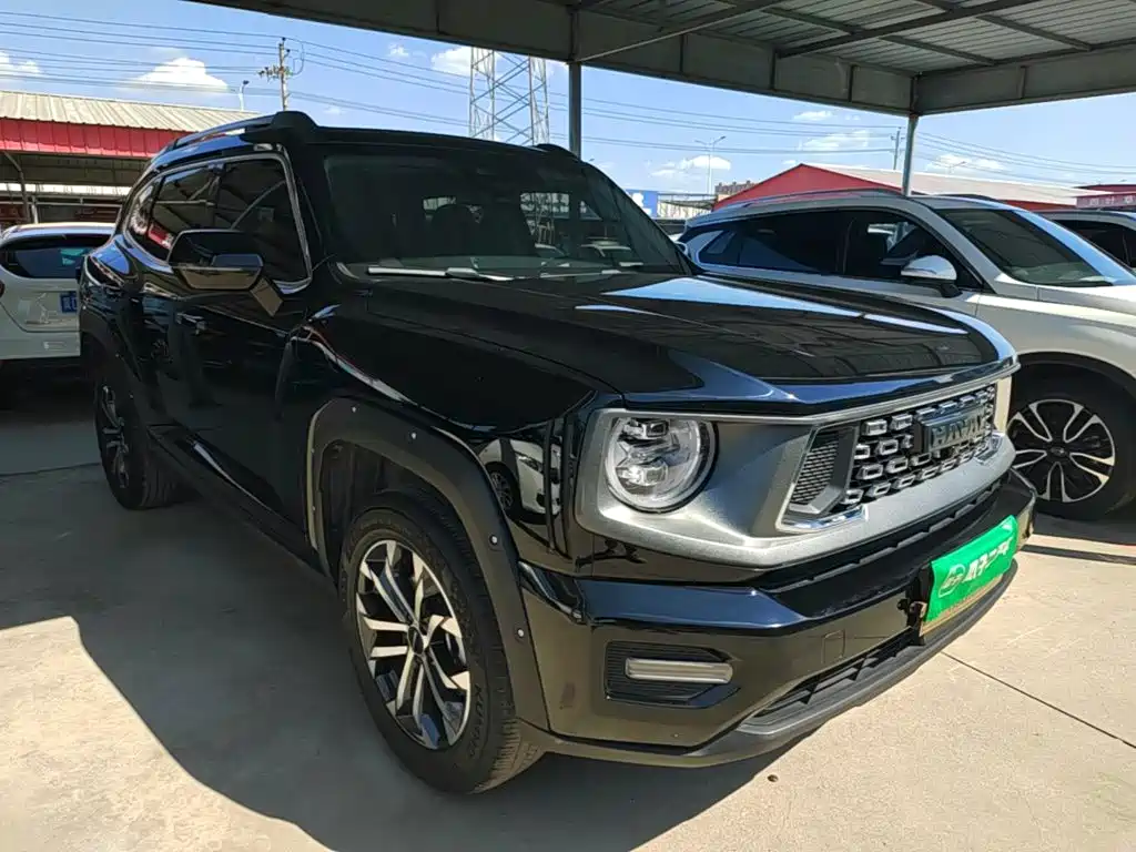 Haval Da Gou 2nd Gen 2024 2023 1.5T 2WD Trend & Wild Edition Plus
