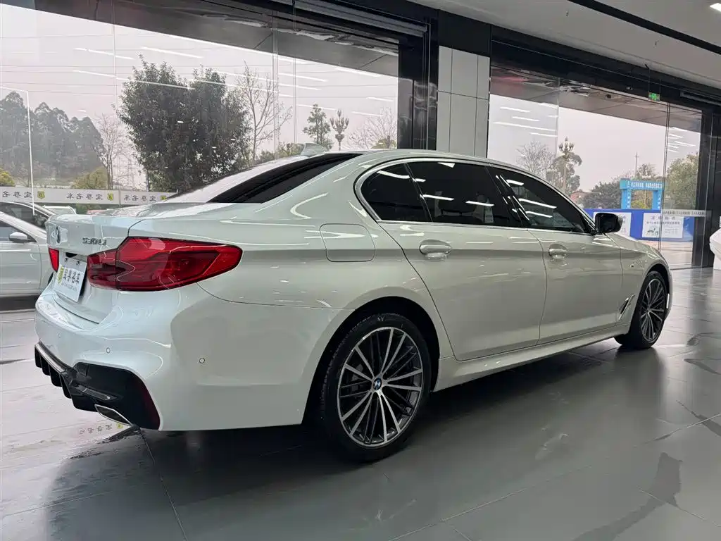 BMW 5 Series 2020 530Li Leading M Sport Package фото 6