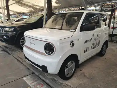 Geely Panda
