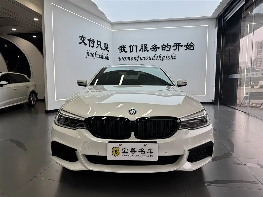 BMW 5 Series 2020 530Li Leading M Sport Package фото 2