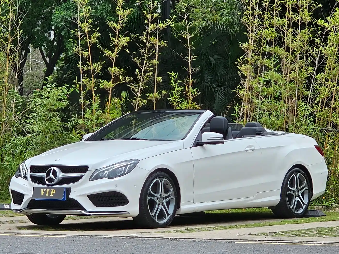 Mercedes-Benz E-Class (Import) 2014 E 260 Convertible Coupe