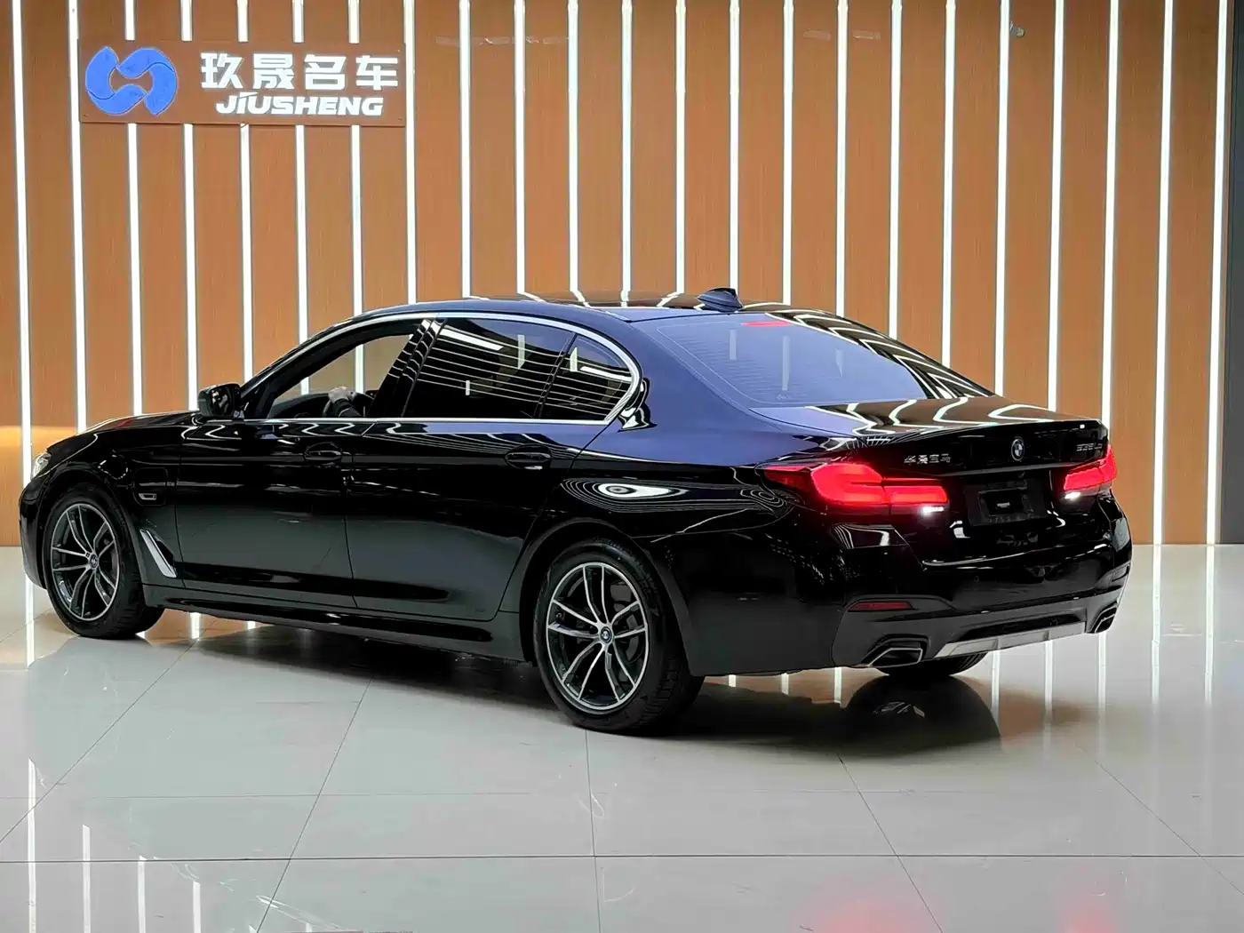 BMW 5 SERIES NEW ENERGY