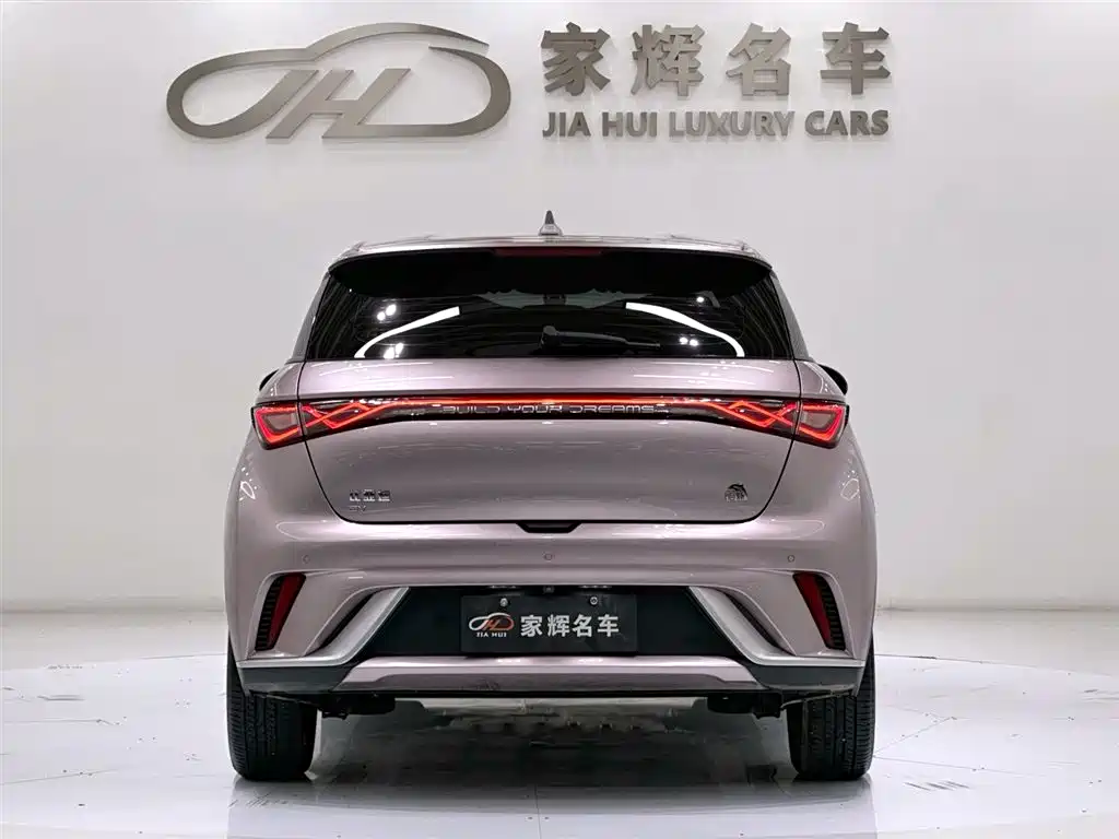 BYD DOLPHIN