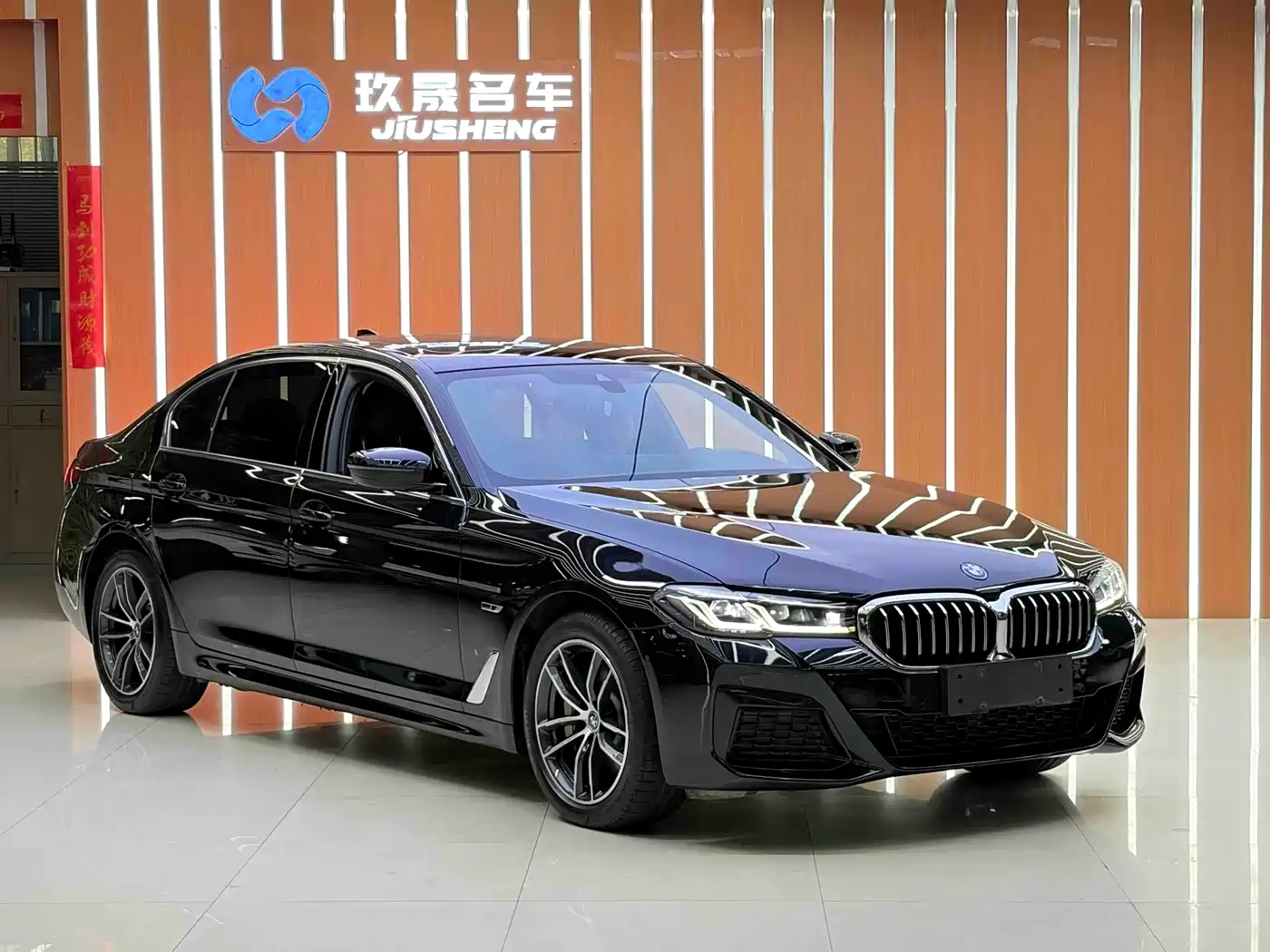 BMW 5 SERIES NEW ENERGY