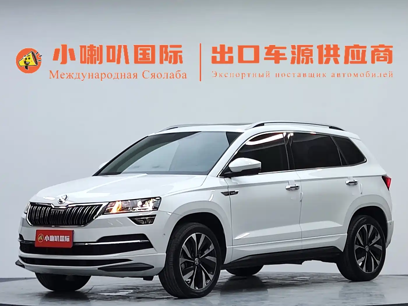 SKODA KROK