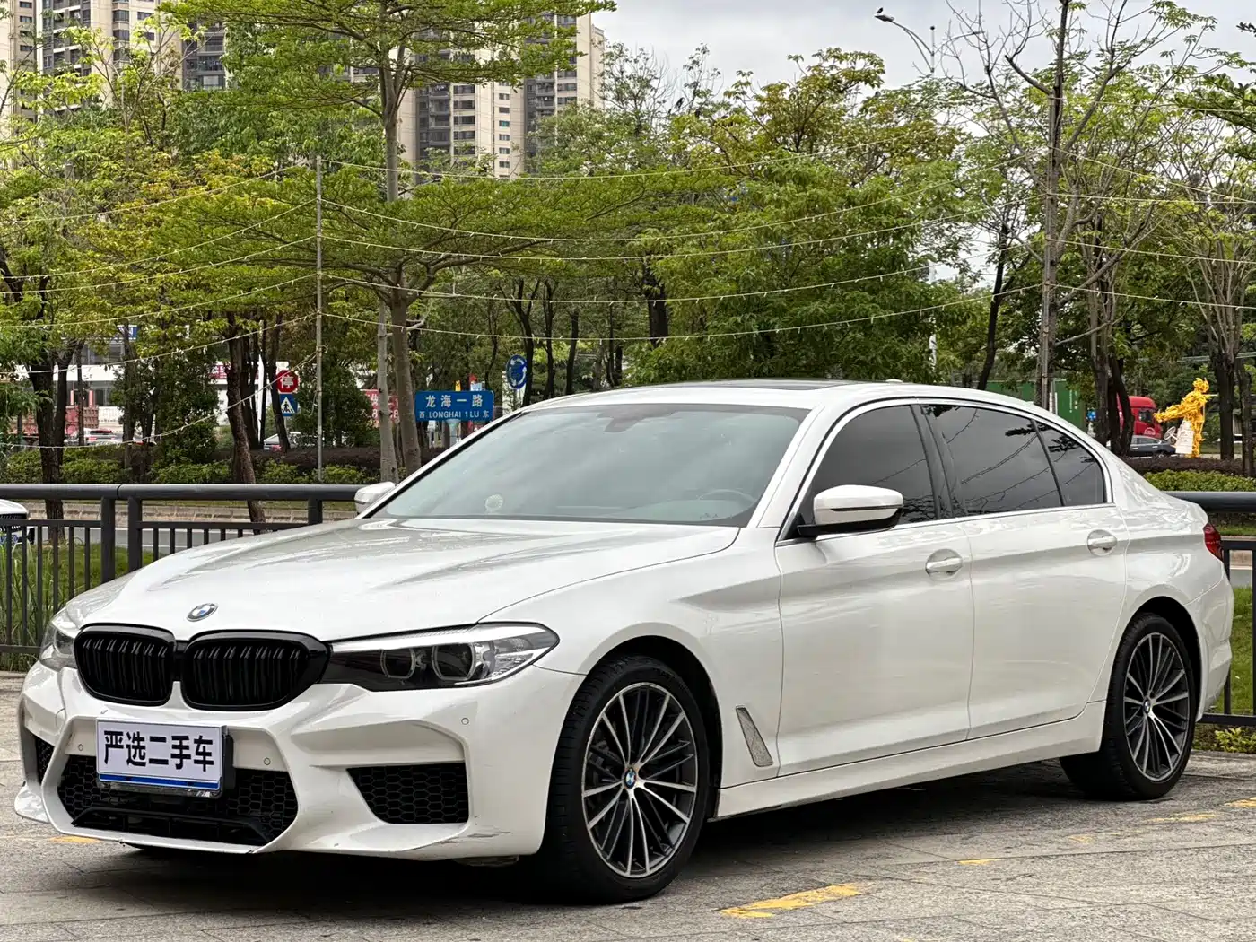 BMW 5 Series 2020 525Li Luxury Package