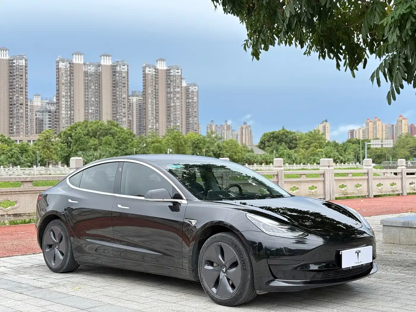 Tesla Model 3 (Import) 2019 2019 Standard Range RWD Upgraded Edition