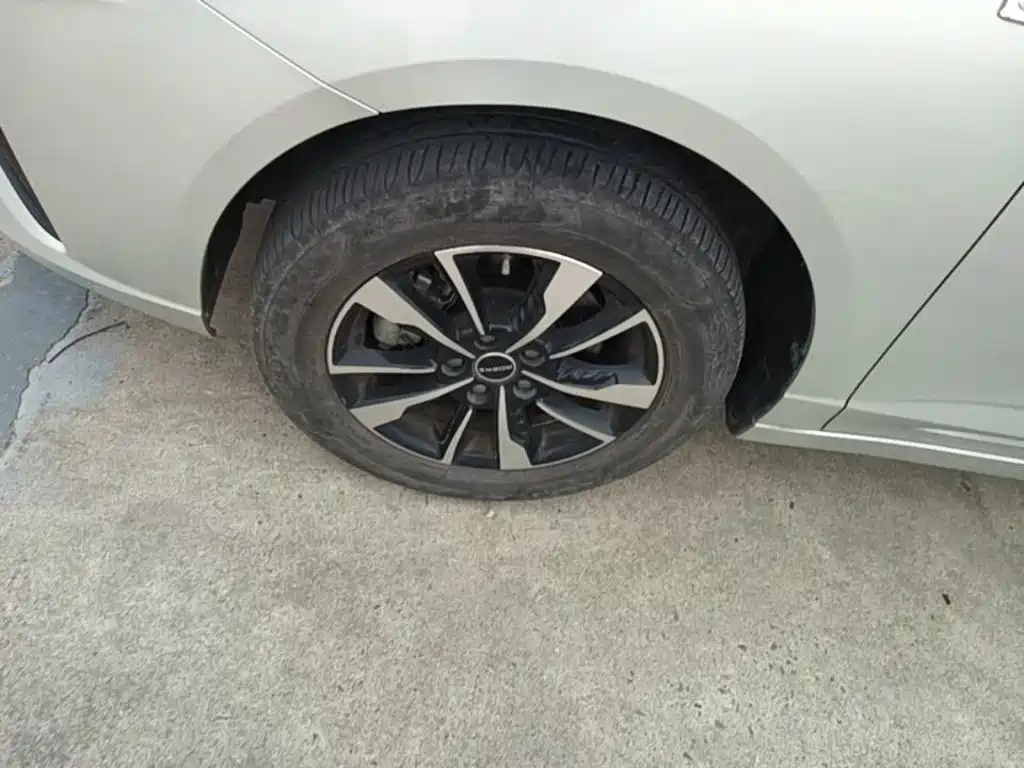 Roewe Ei5 2022 2021 500 Heartfelt Edition
