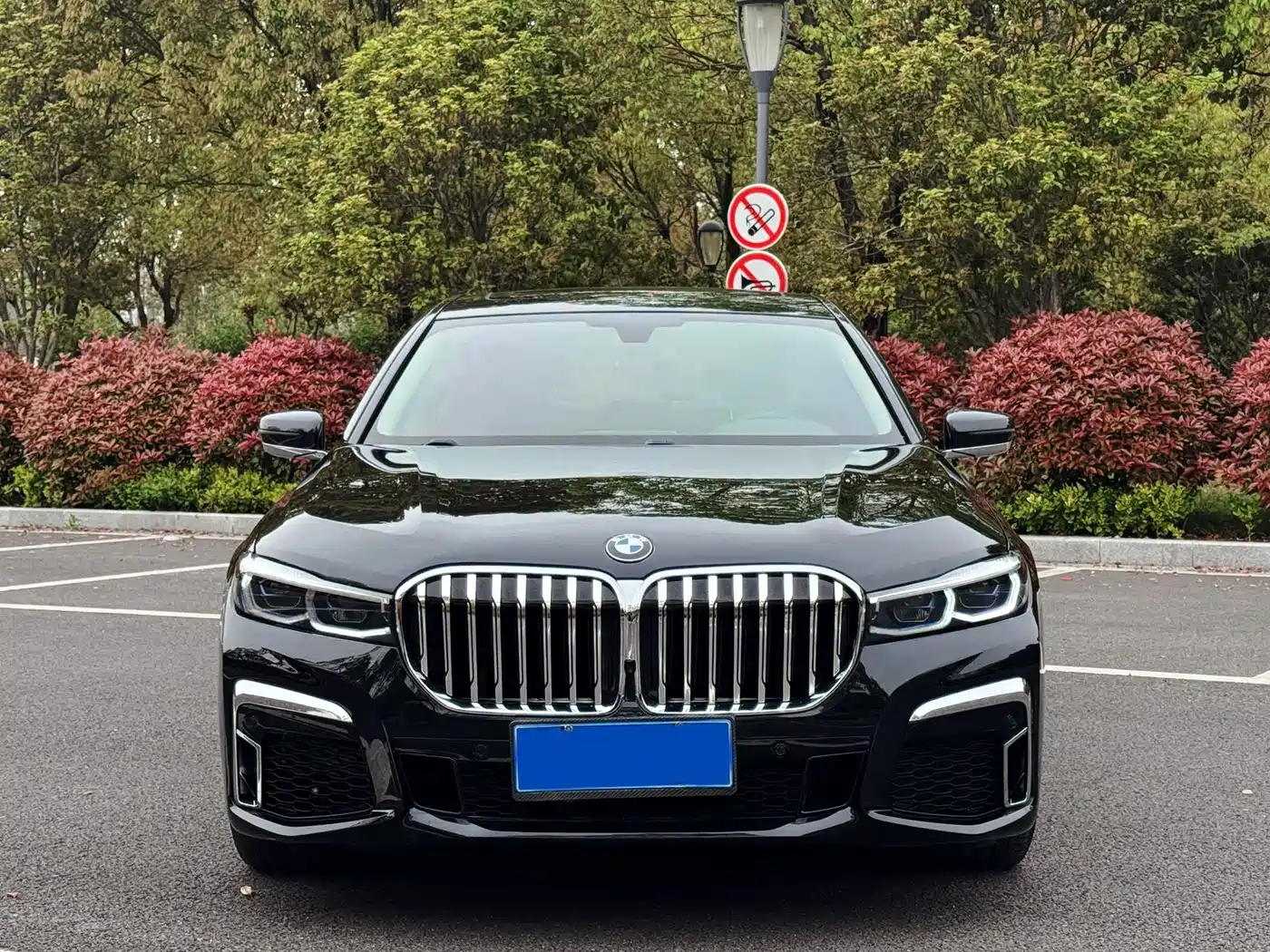BMW 7 Series 2016 730Li Leading фото 2