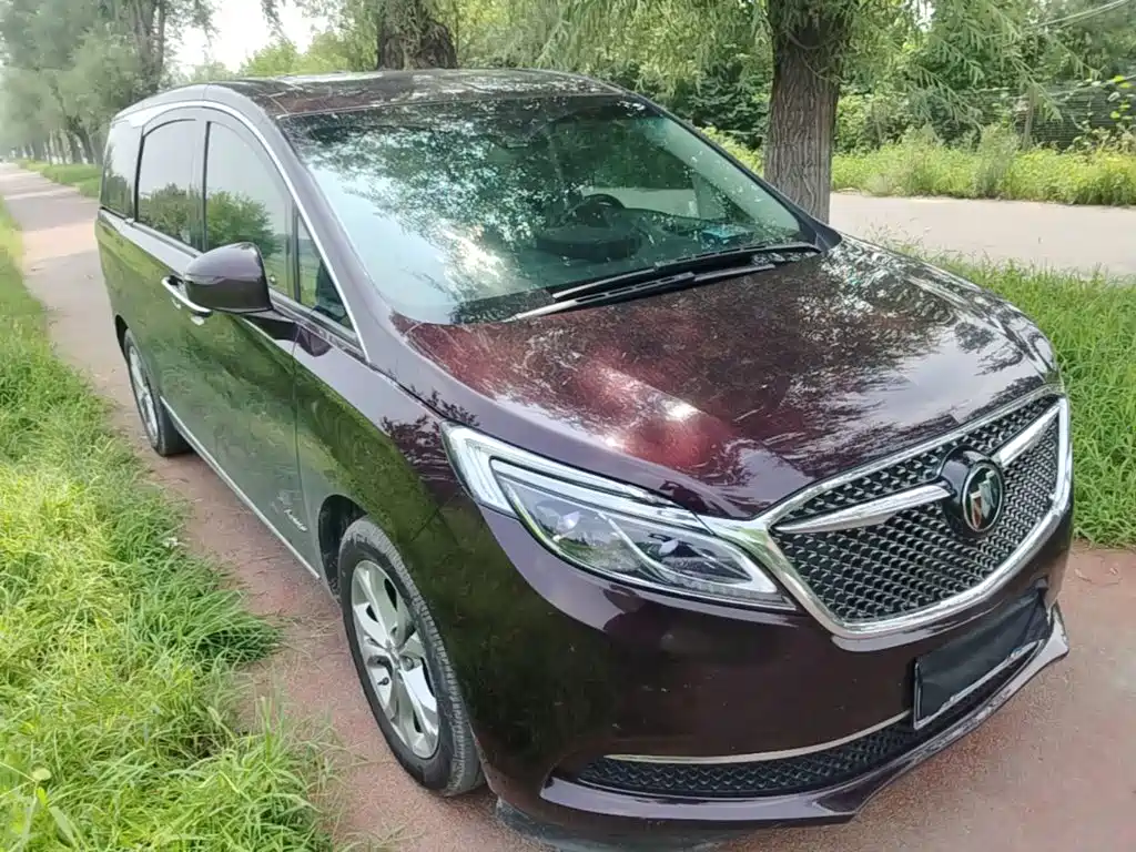Фото 4 - Buick GL8