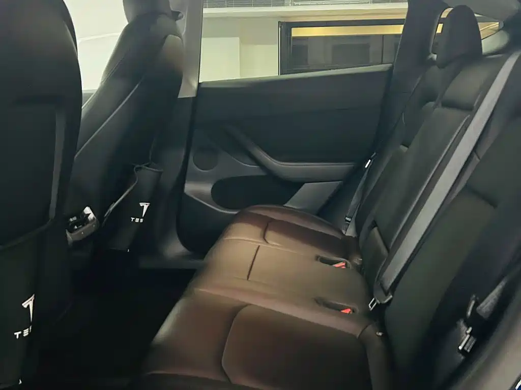 Tesla Model Y 2021 2021 Standard Range Rear-Wheel Drive
