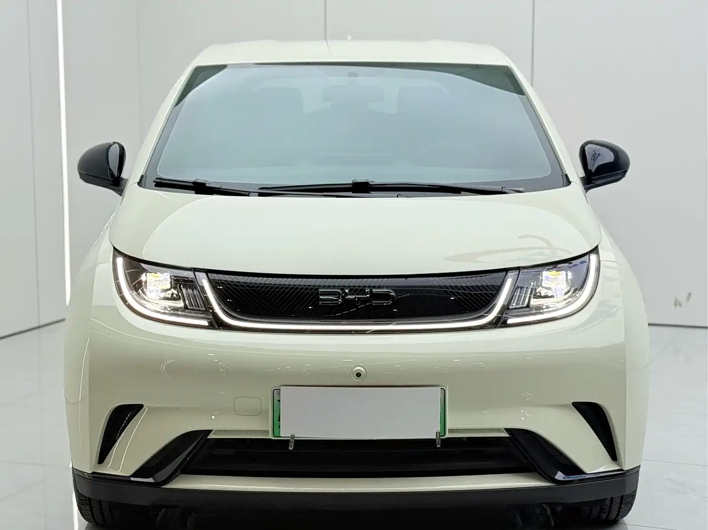 BYD Dolphin 2026 2025 420km Vitality Edition