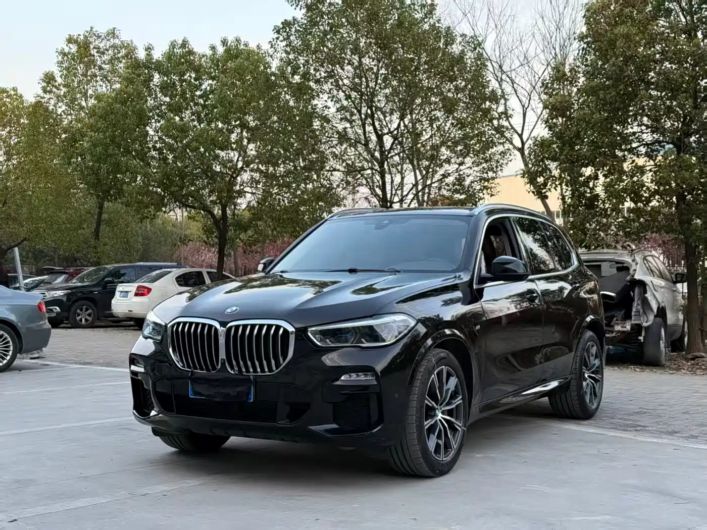 BMW X5