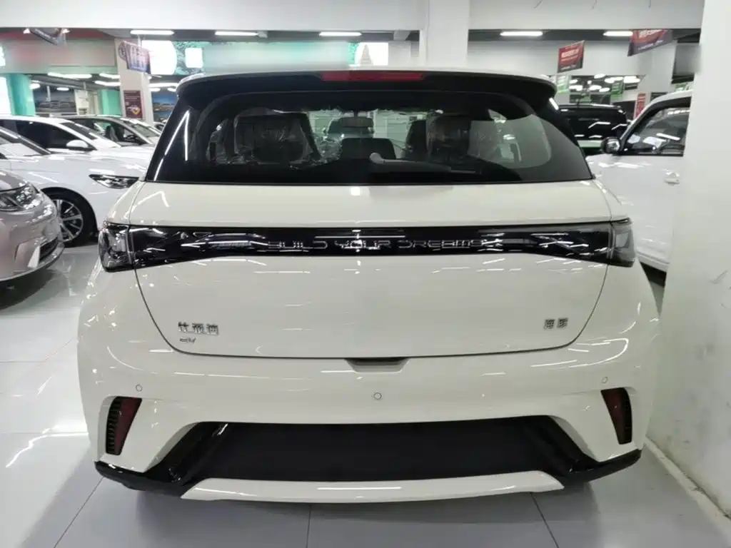 BYD Dolphin 2026 2025 420km Freedom Edition