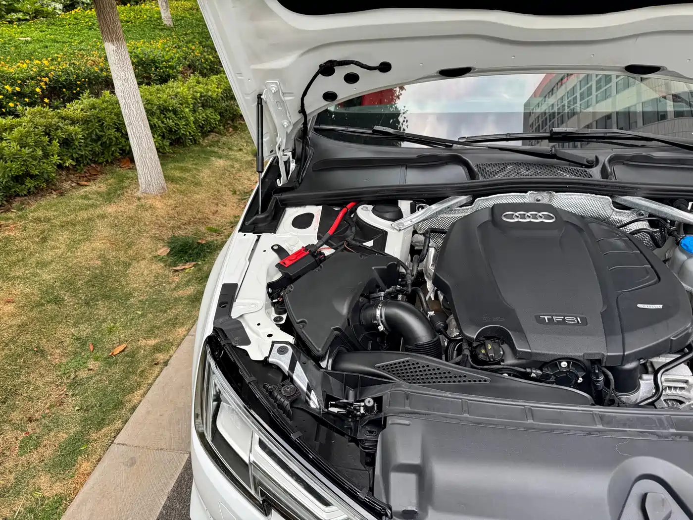 Audi A4L 2019 40 TFSI Progressive (China V) фото 25