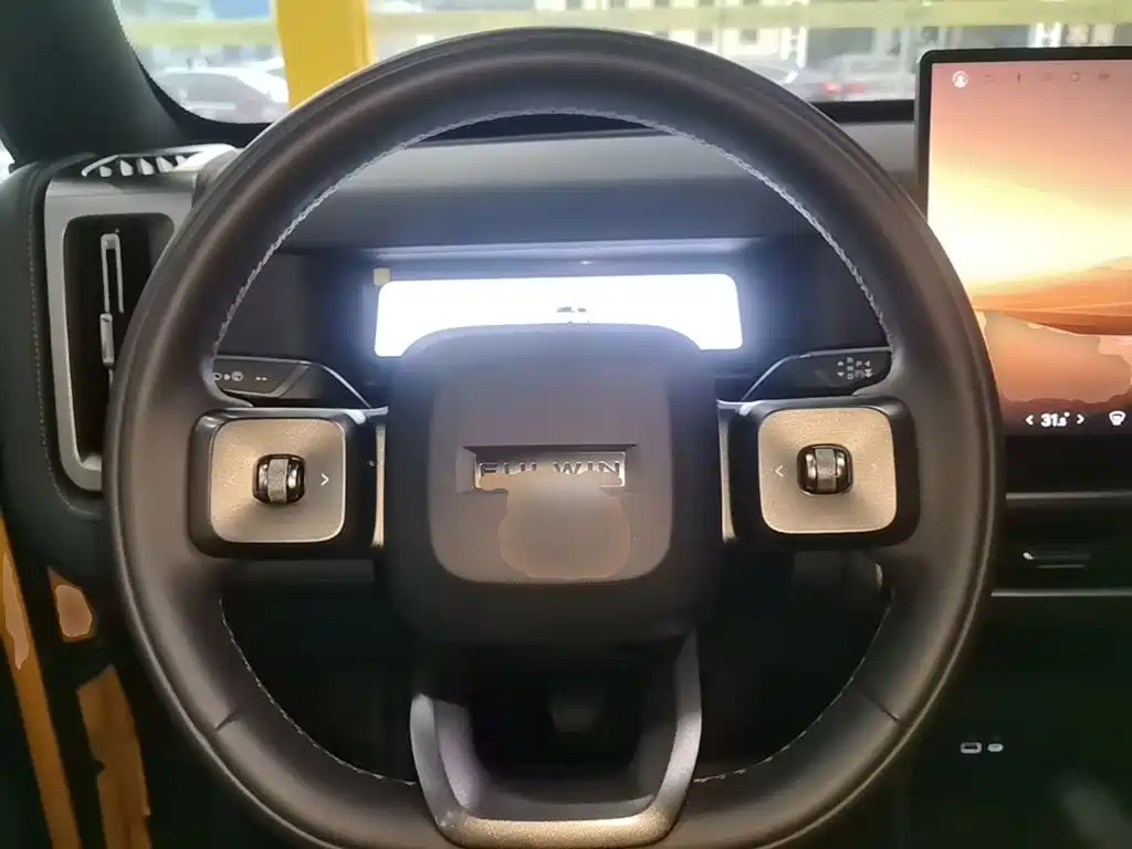 Photo 11 - Chery Fengyun Storm X3L