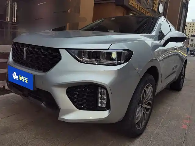 wei-pai wei-brand-vv5