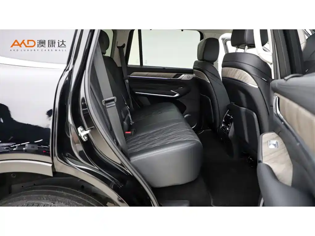 Tank 500 2023 2022 3.0T Business Edition Zaojing 5-Seater