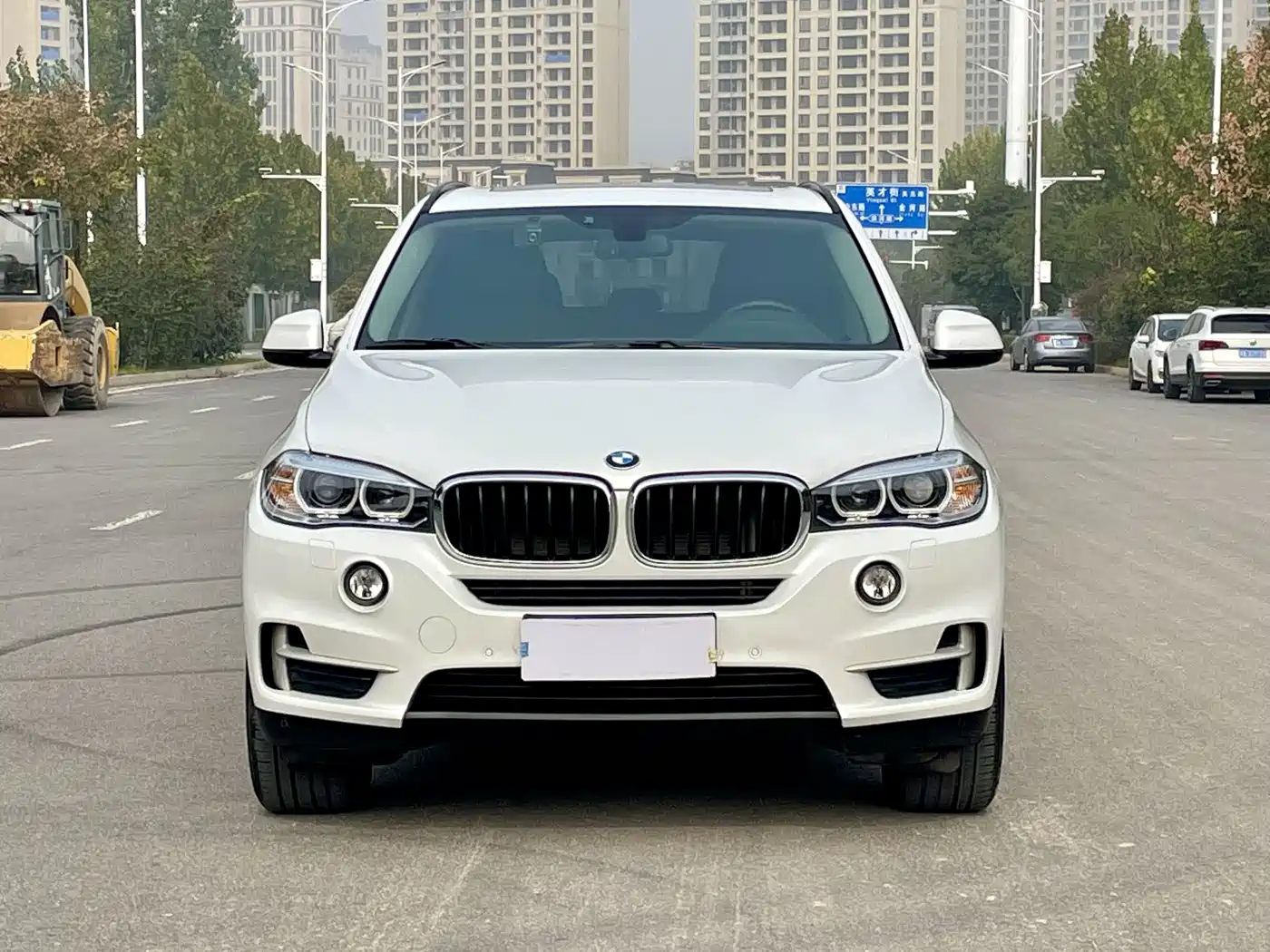 BMW X5 (Import) 2014 xDrive35i Elegance фото 2