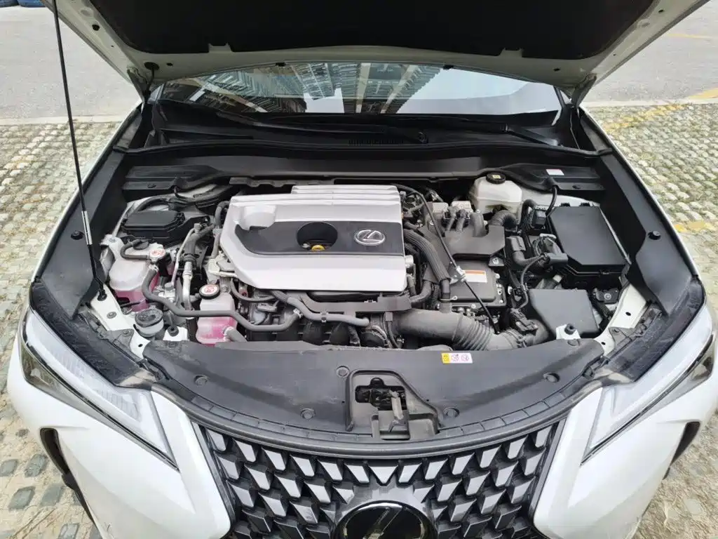 Lexus UX 2022 2022 260h Explore Edition