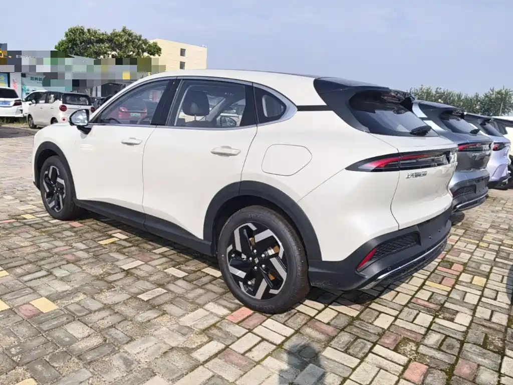 Baojun Yunhai 2026 2026 Model 500km Pure Electric Standard