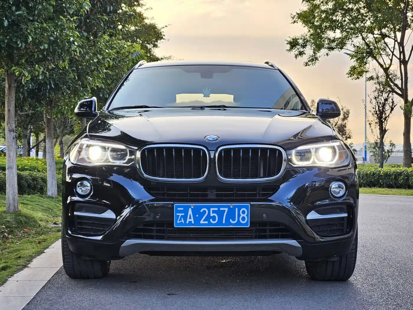 BMW X6 2015 xDrive28i фото 2