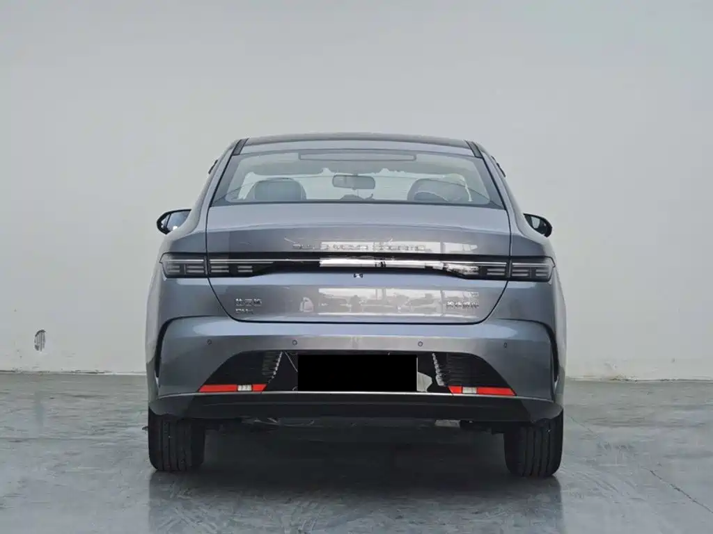 BYD Destroyer 05 2025 2024 Glory Edition DM-i 55KM Luxury