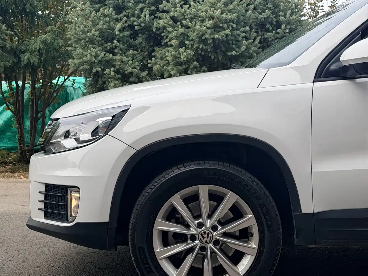 Volkswagen Tiguan 2019 2017 300TSI Automatic 2WD Silk Road Fashion Edition