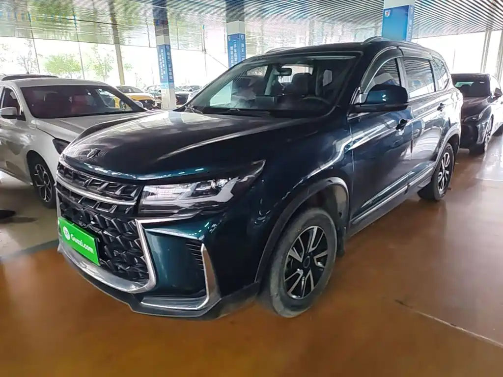 Dongfeng Fengxing Fengxing T5 2023 2023 Golden Age 1.6L Manual Dream Chaser 5-Seater
