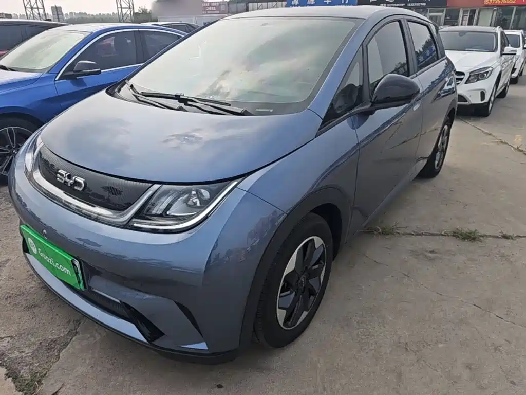 BYD Dolphin 2025