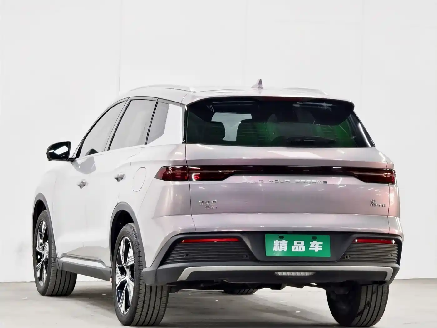 BYD SONGJIANG NEW ENERGY