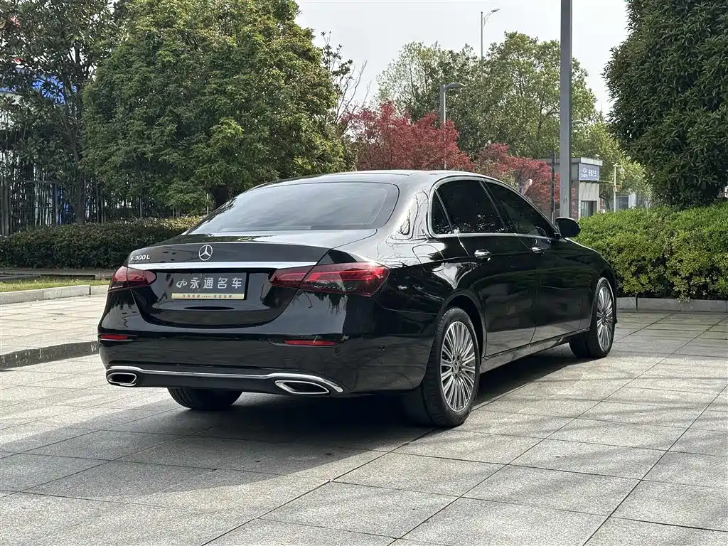 Mercedes-Benz E-Class 2023 E 300 L Luxury фото 14