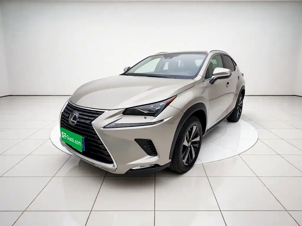 Lexus NX 2020 300h FWD Fengyue Edition China VI