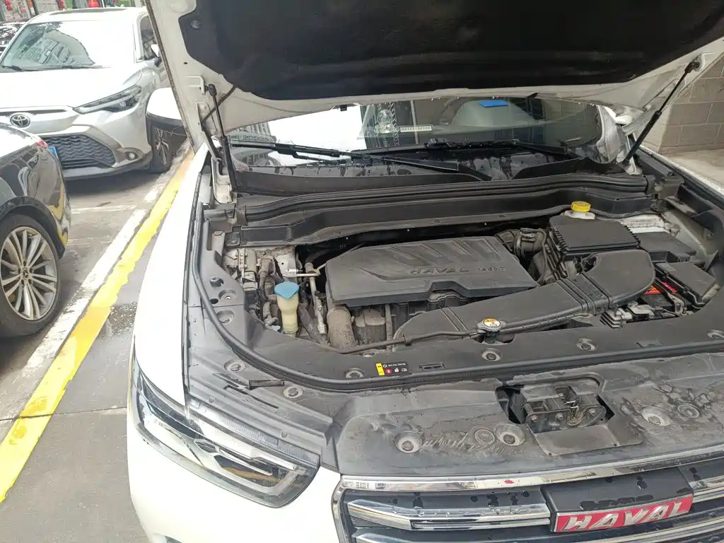 Фото 21 - Haval H6
