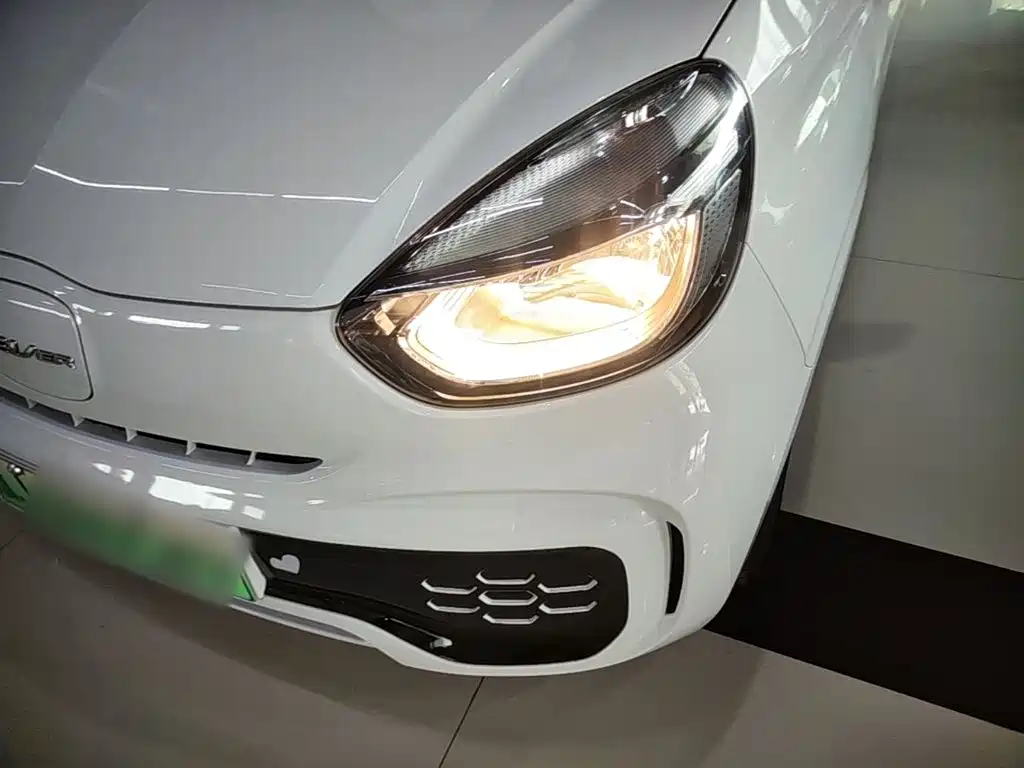 Roewe Kaiwei CLEVER 2024 2022 311km Vitality Bobo Edition