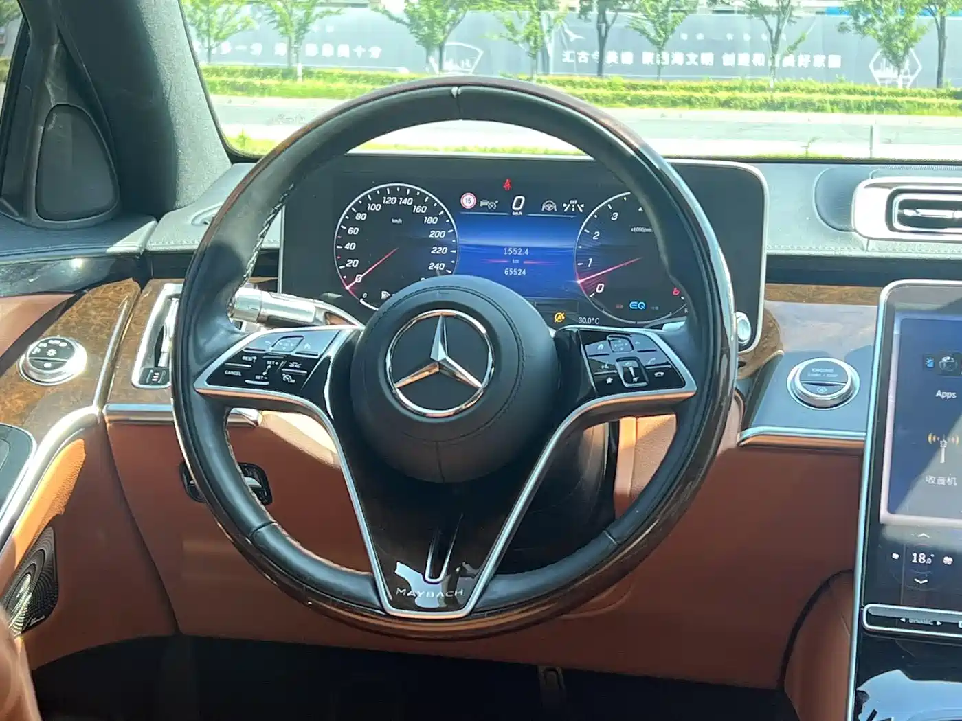 Mercedes-Benz Maybach S-Class 2021 S 480 4MATIC фото 12