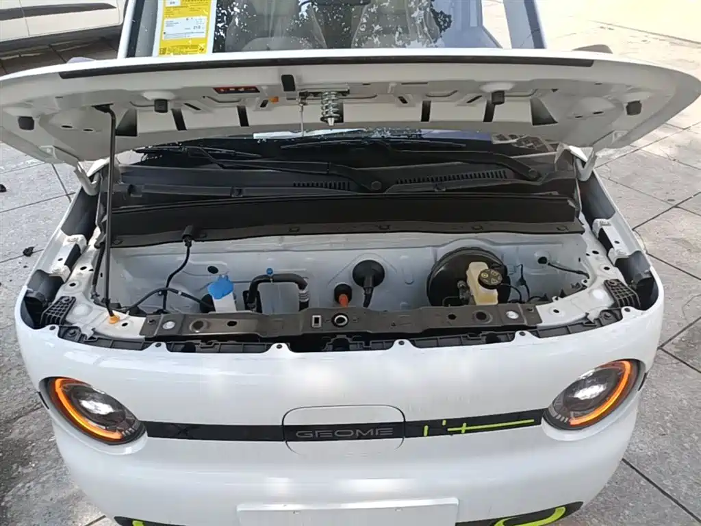Photo 20 - Geely Galaxy Panda