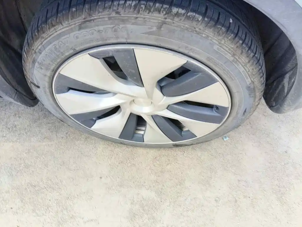 Tesla Model Y 2021 2021 Long Range All-Wheel Drive 3D7