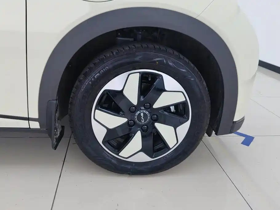 BYD Dolphin 2026 2025 420km Freedom Edition