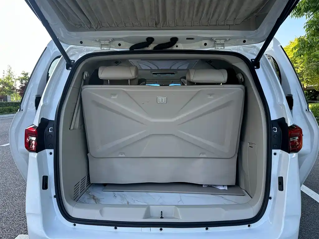 Buick GL8 2023 Model Land Business Class Comfort фото 12