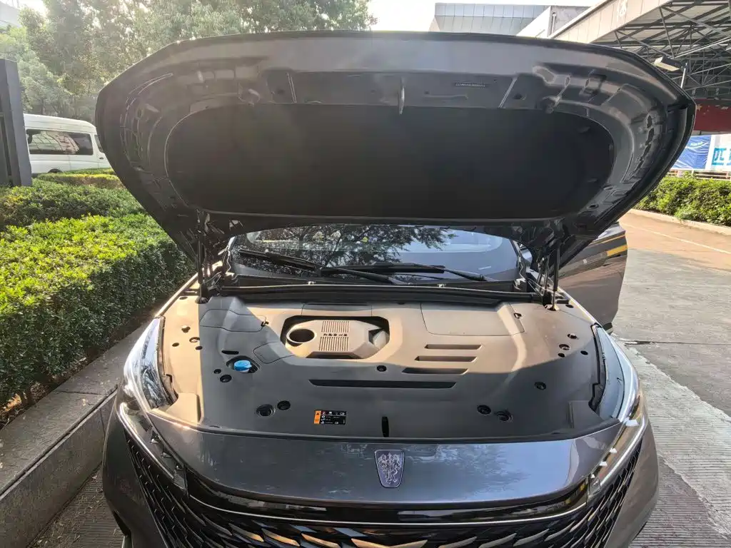 Фото 3 - Roewe RX5