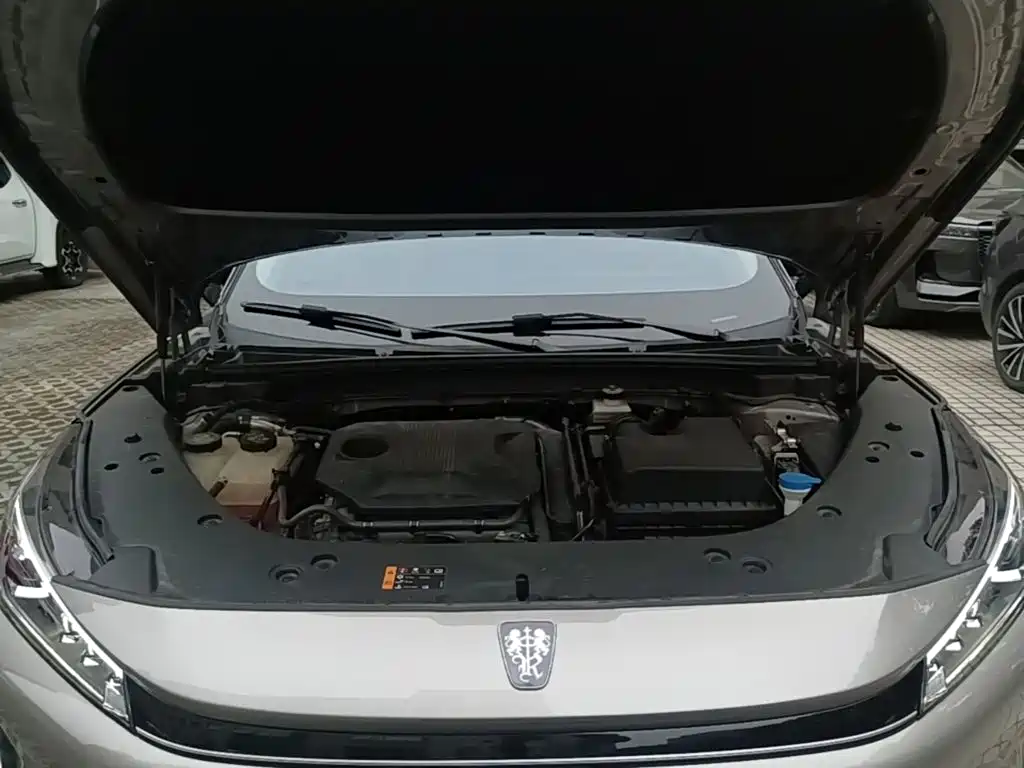 Roewe D5X DMH 2024 2024 Model 135 Technology Edition