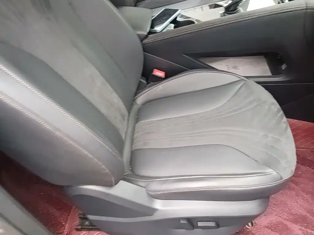 Roewe D5X DMH 2024 2024 Model 135 Technology Edition