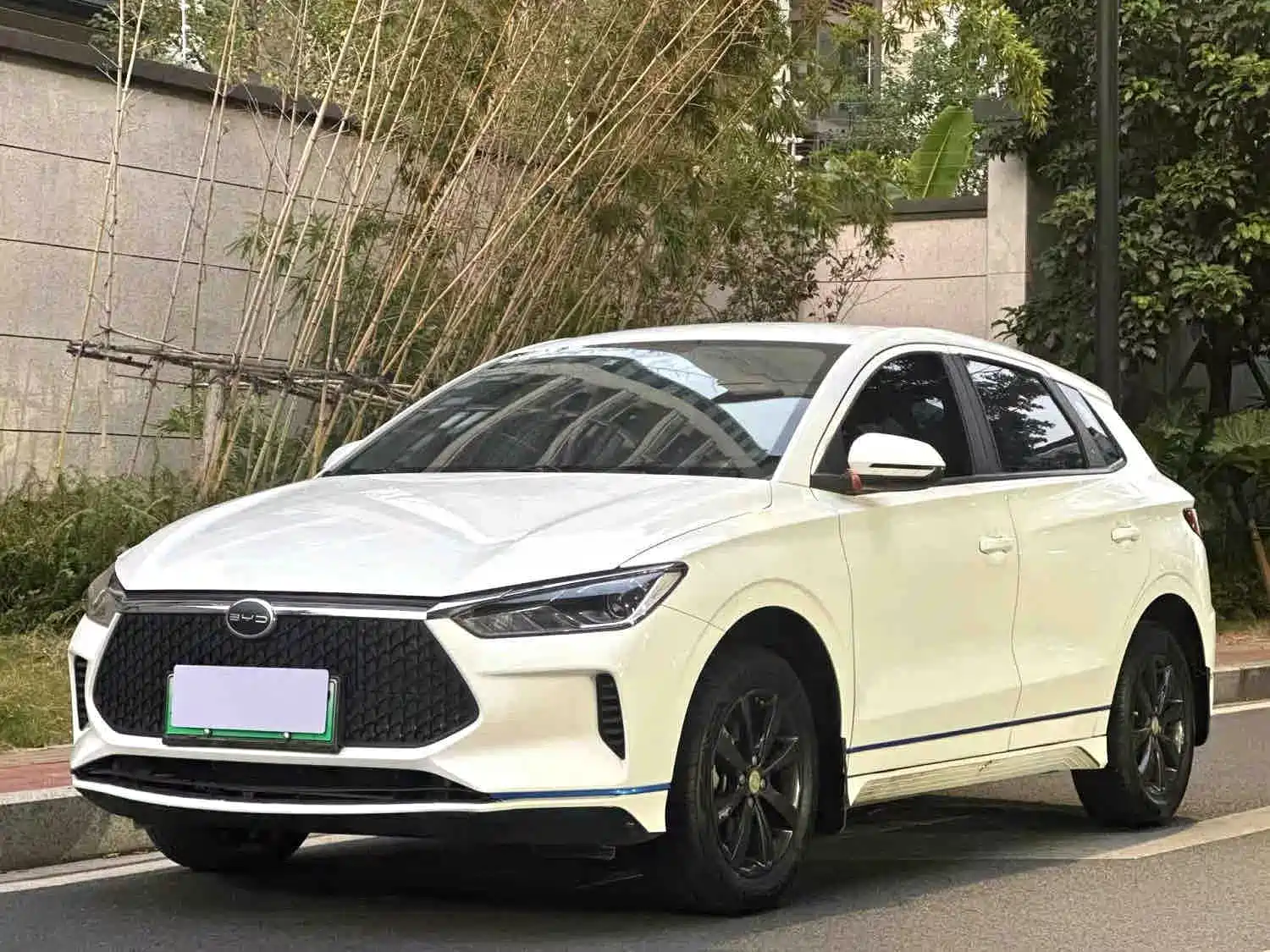 Фото 1 - BYD e2