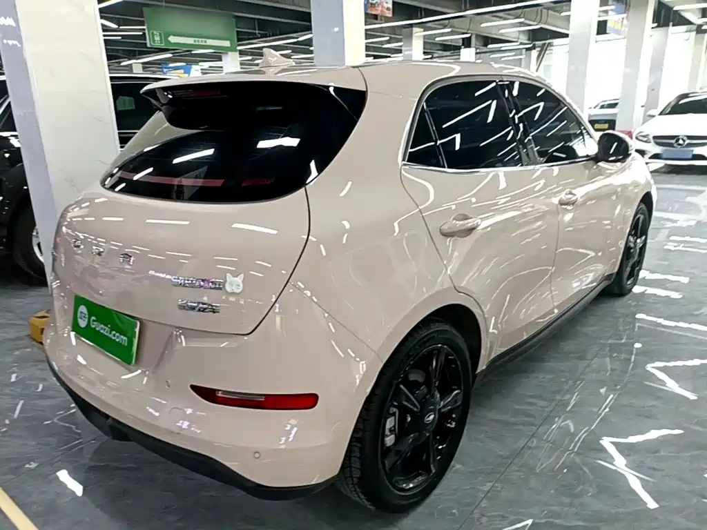 Ora Good Cat 2025 2024 401km Luxury