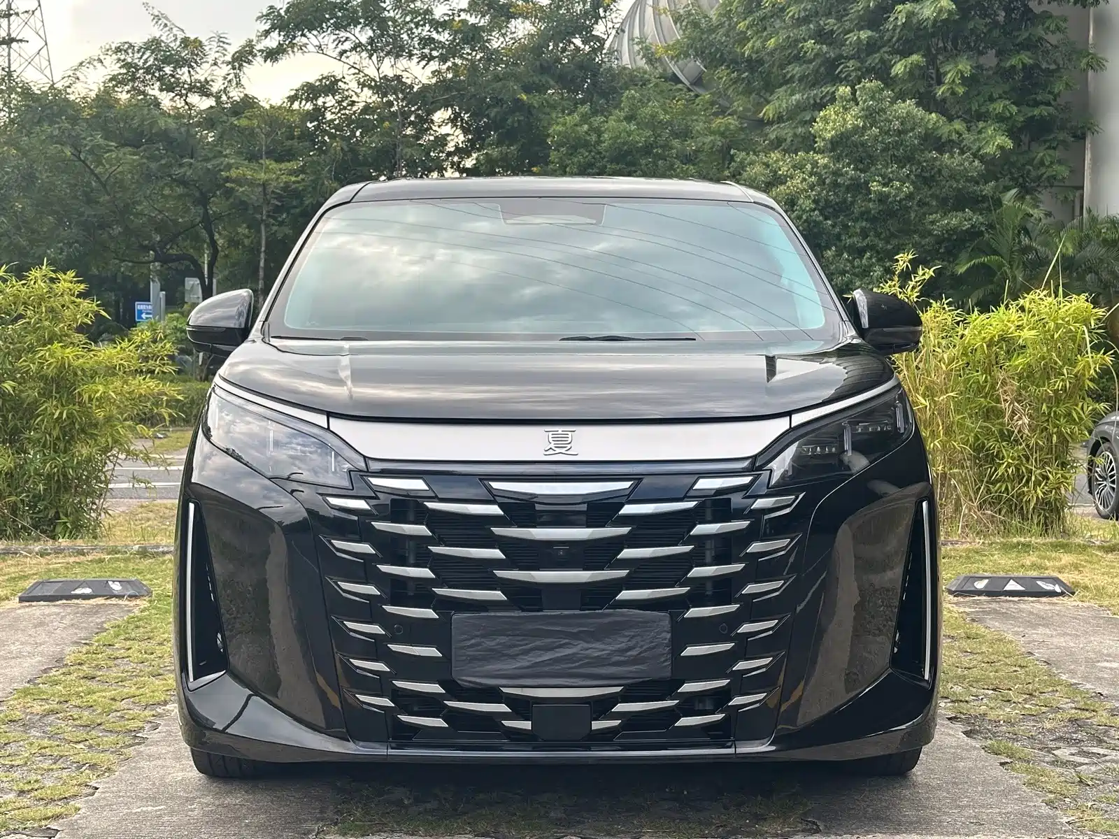 Photo 2 - BYD Xia