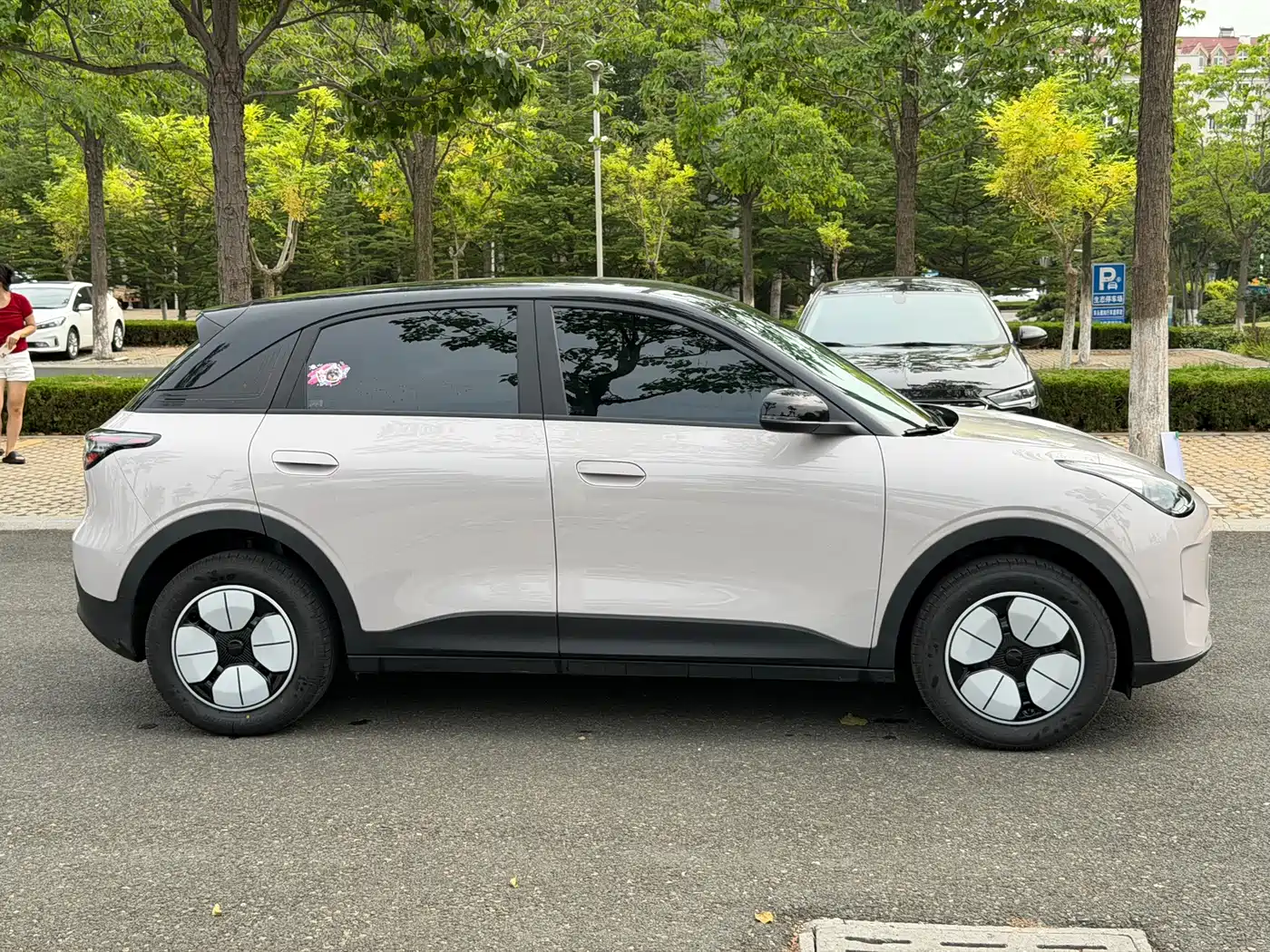 Geely Galaxy Starry Wish 2026 2026 Edition 310km Youth Version